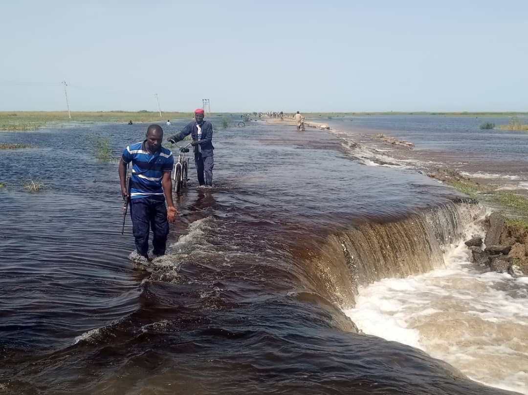 Flash flood causes disruptions on Ajeri-Dikwa Road in Borno Flash flood causes disruptions on Ajeri-Dikwa Road in Borno