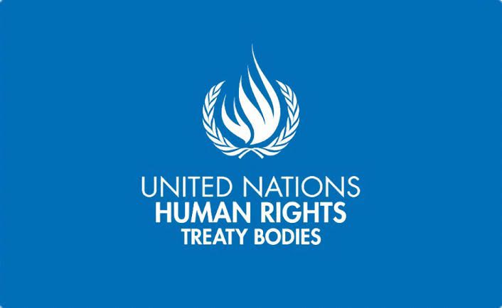 UN experts call for urgent action to end torture in Nigeria