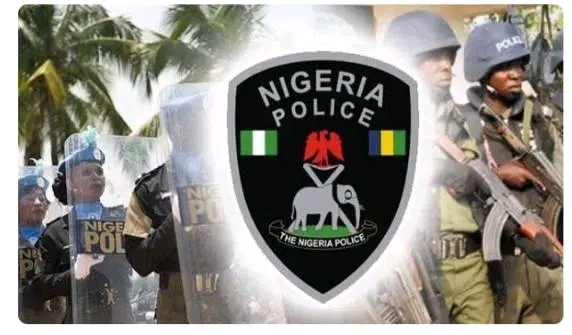 Borno Police crack down on flood relief thieves Borno Police crack down on flood relief thieves
