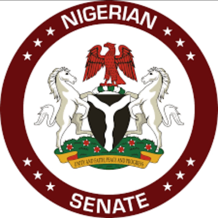 Senate calls for national summit on out-of-school children challenge Senate calls for national summit on out-of-school children challenge