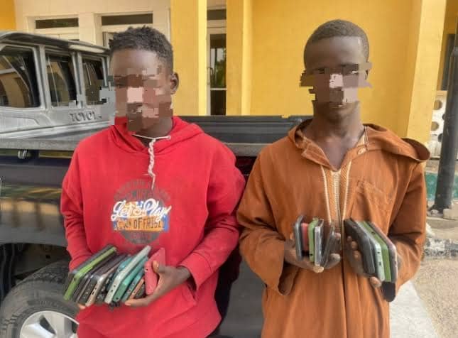 Borno Police arrest two suspects, recover 25 stolen phones Borno Police arrest two suspects, recover 25 stolen phones