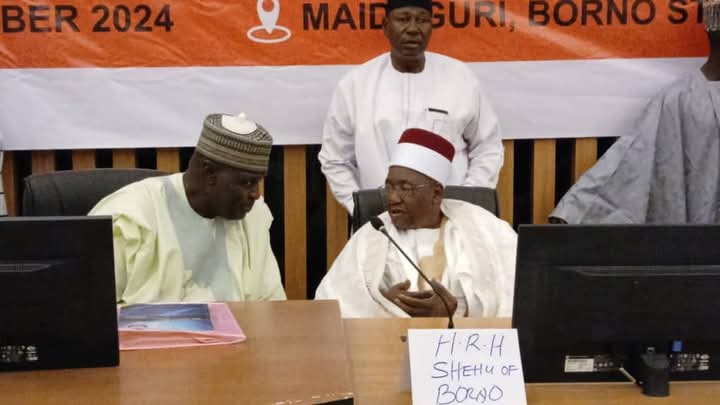 Borno Govt launches transitional justice framework