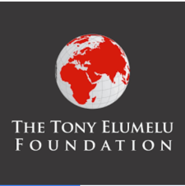 Tony Elumelu Foundation opens applications for 2025 entrepreneurship programs Tony Elumelu Foundation opens applications for 2025 entrepreneurship programs