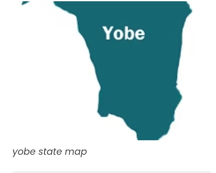 Yobe launches kidney disease research, to sample 2,000 residents