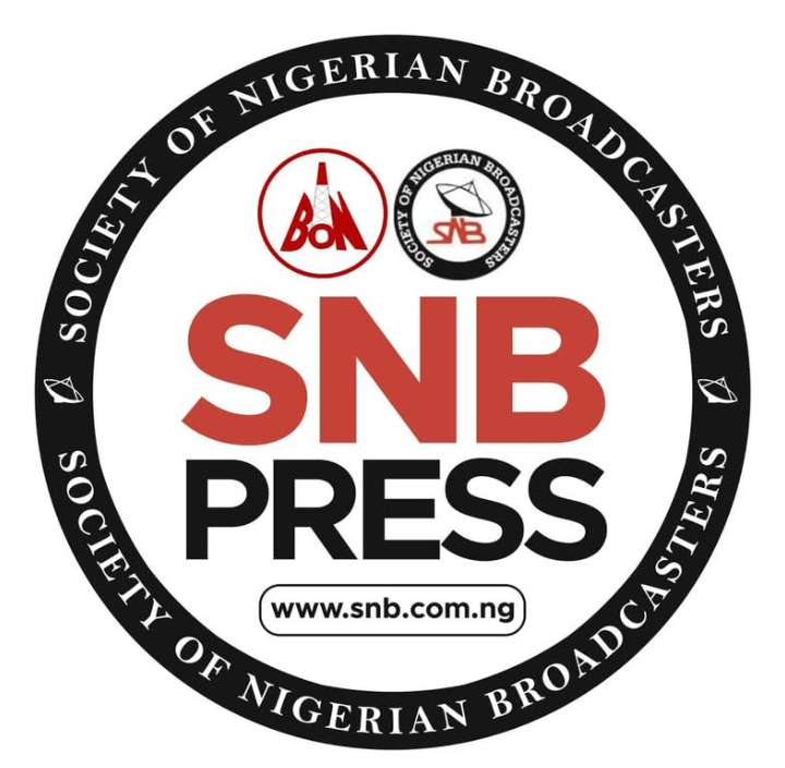 Broadcasters under SNB set up state exco in Borno Broadcasters under SNB set up state exco in Borno