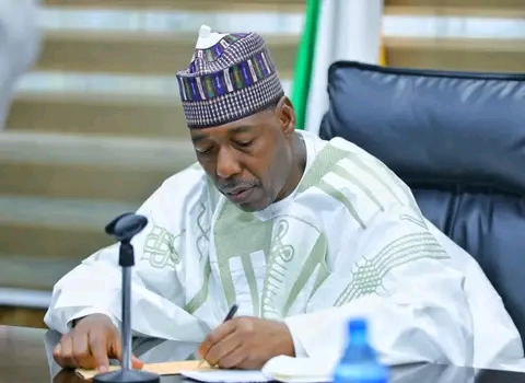 Borno Gov appoints Mairo as chairperson of healthcare agency board Borno Gov appoints Mairo as chairperson of healthcare agency board