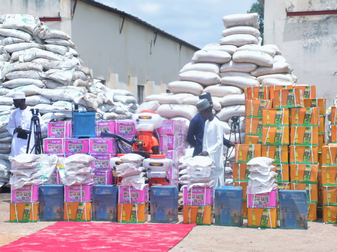 Women, youth among key beneficiaries as Borno subsidizes fertilizer sales by 50% Women, youth among key beneficiaries as Borno subsidizes fertilizer sales by 50%
