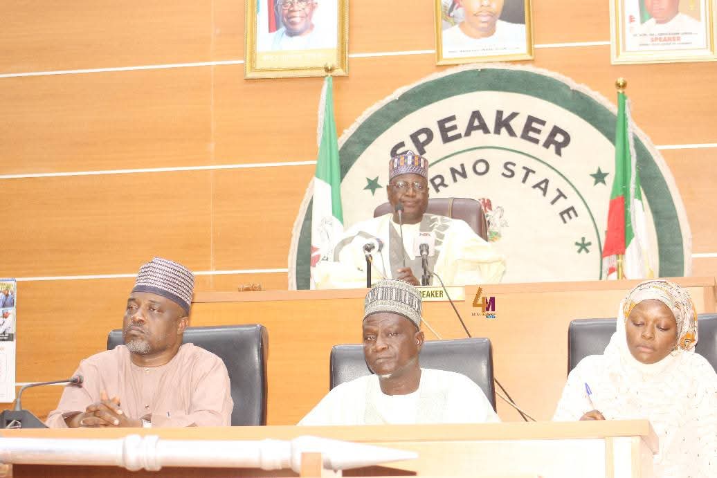 Borno Assembly targets tricycle menace, approves nursing colleges Borno Assembly targets tricycle menace, approves nursing colleges