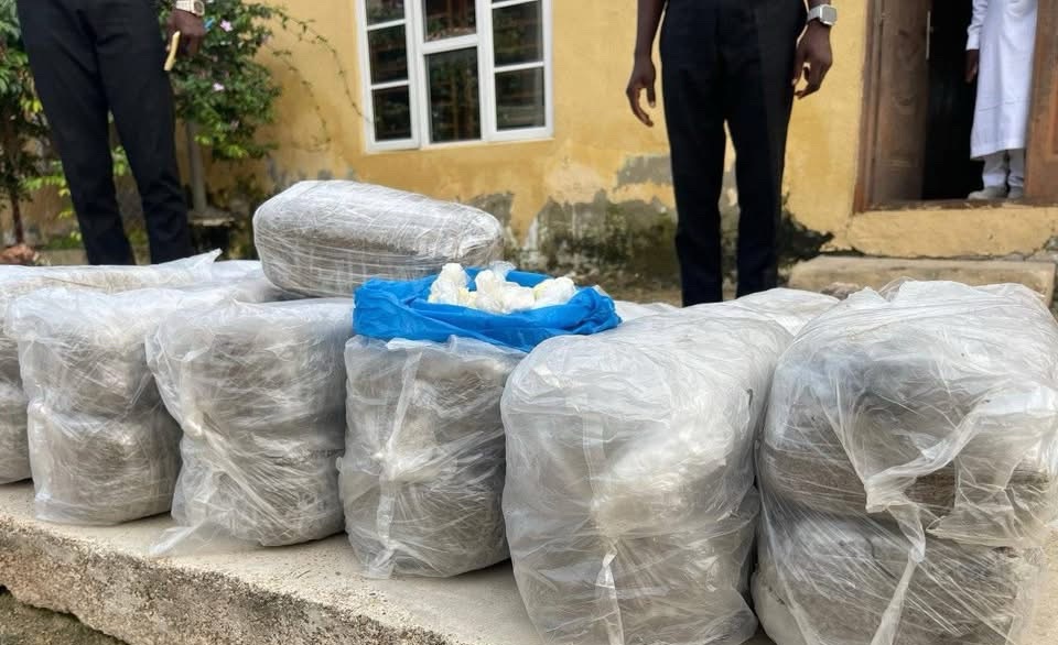 Borno Police arrest suspected major drug dealer in Bayo LGA Borno Police arrest suspected major drug dealer in Bayo LGA