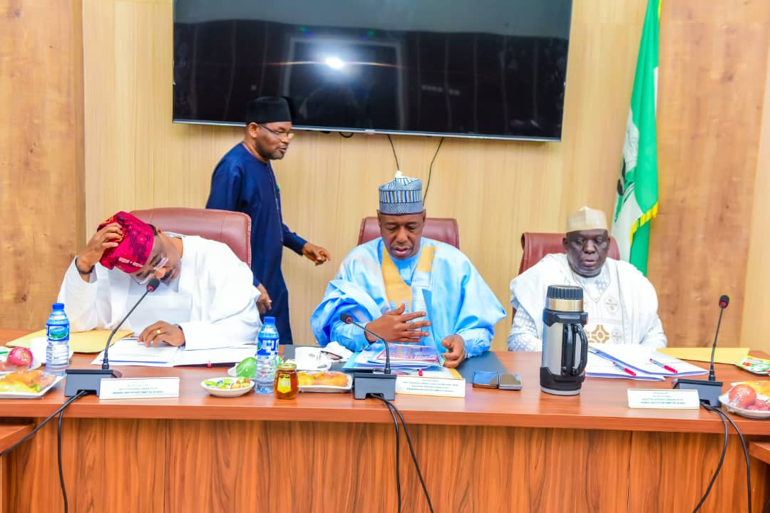 Gov. Zulum leads drive to revitalize NNDC Gov. Zulum leads drive to revitalize NNDC